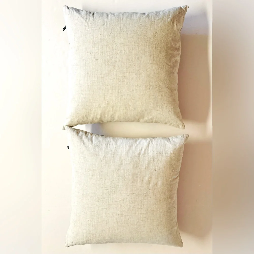 2 Down Rodeo Home- 20”x 20” pillows with premium feather hypoallergenic inserts